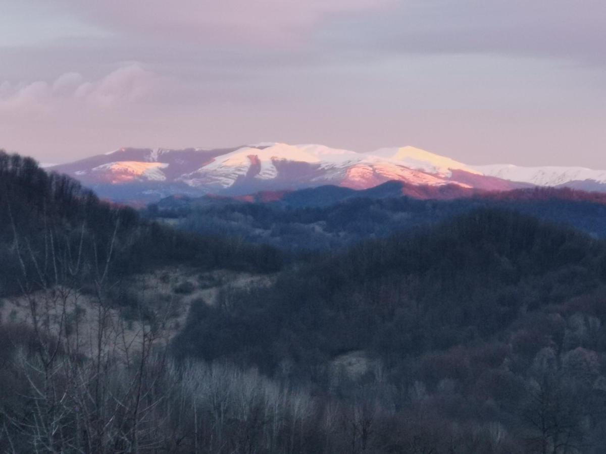 Cabanuta Fara Fite Provita de Jos Exterior foto