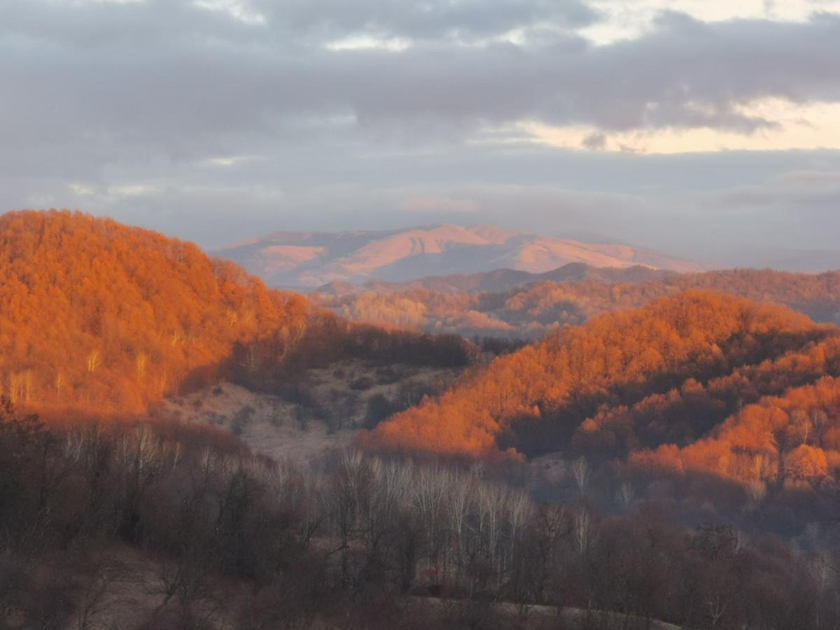 Cabanuta Fara Fite Provita de Jos Exterior foto