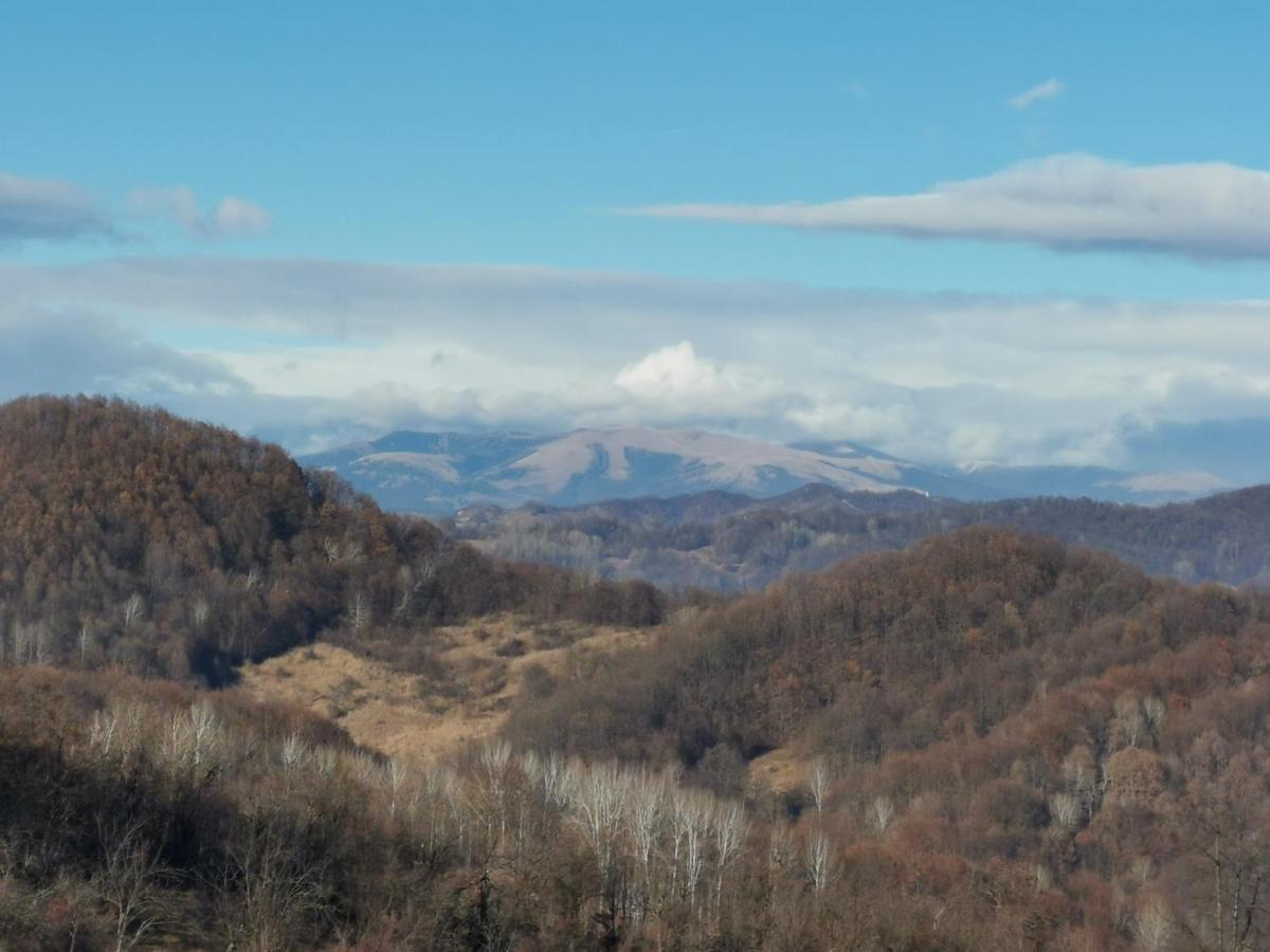 Cabanuta Fara Fite Provita de Jos Exterior foto